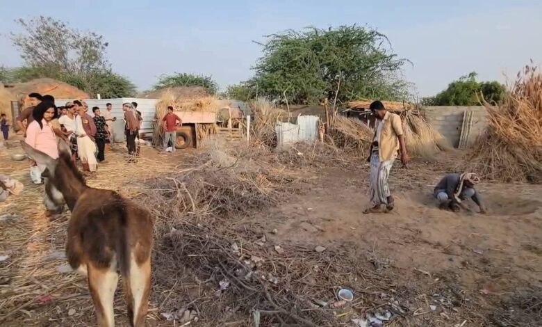 إصابة طفل ونفوق مواشٍ جراء قصف حوثي لقرية مأهولة في حجة
