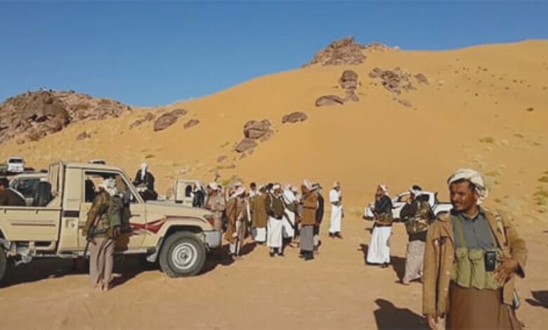 بعد انتهاء المهلة.. قبائل دهم تبدأ خطوات ميدانية ضد الحوثيين في الجوف