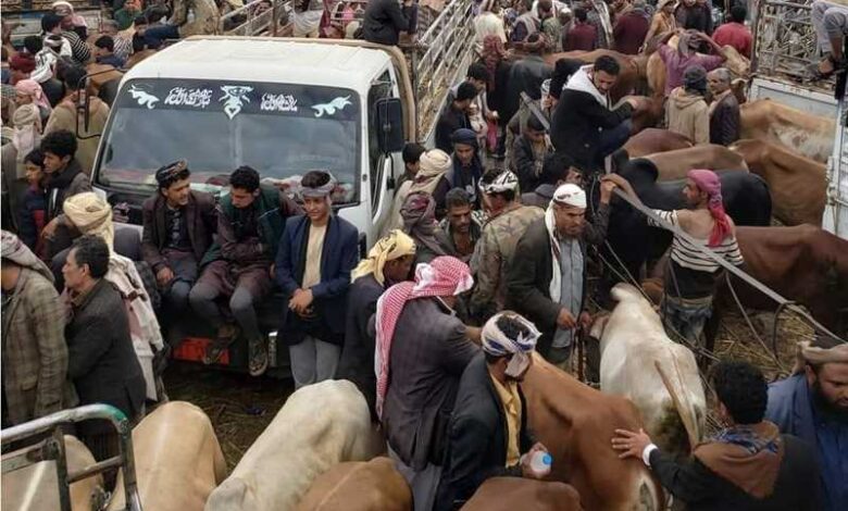 مليشيا الحوثي تفرض أضاحي إجبارية على سكان قرى إب تحت ذريعة دعم الجبهات 1 مليشيا الحوثي تفرض أضاحي إجبارية على سكان قرى إب تحت ذريعة دعم الجبهات
