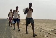 تقرير أممي: أكثر من 11 ألف مهاجر أفريقي وصلوا إلى اليمن خلال مايو