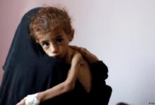 الفاو تدق ناقوس الخطر: المجاعة تتمدد في اليمن وأكثر من نصف السكان مهددون بالجوع