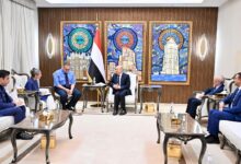العليمي يدعو هولندا والاتحاد الأوروبي إلى تشديد الإجراءات ضد مليشيا الحوثي