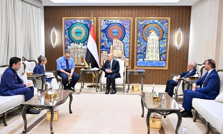 العليمي يدعو هولندا والاتحاد الأوروبي إلى تشديد الإجراءات ضد مليشيا الحوثي