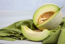 هل يشكل الكنتالوب خطراً على مرضى الكلى؟ مختص يجيب