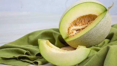 هل يشكل الكنتالوب خطراً على مرضى الكلى؟ مختص يجيب