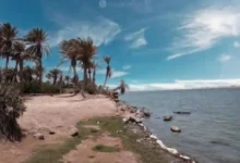 وفاة صياد متأثراً بجراحه إثر هجوم مفاجئ لسمكة قبالة سواحل الخوخة