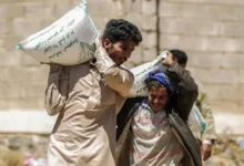 صفقة فساد جديدة.. مليشيا الحوثي تشتري قمحاً تالفاً وتوزعه على المواطنين في حجة وتعز