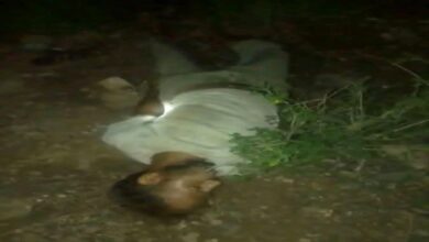 العثور على جثة مواطن في جبل حبشي بتعز يثير تساؤلات حول ملابسات الوفاة
