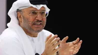 قرقاش: الطموحات الإيرانية المتضخمة كلفت الخليج واليمن ولبنان والعراق الكثير