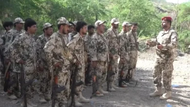 العميد السبحي يؤكد جاهزية المقاومة الوطنية ويشدد على مواصلة القتال حتى التحرير