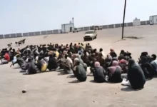 دفعة جديدة من المهاجرين غير الشرعيين تصل إلى سواحل شبوة