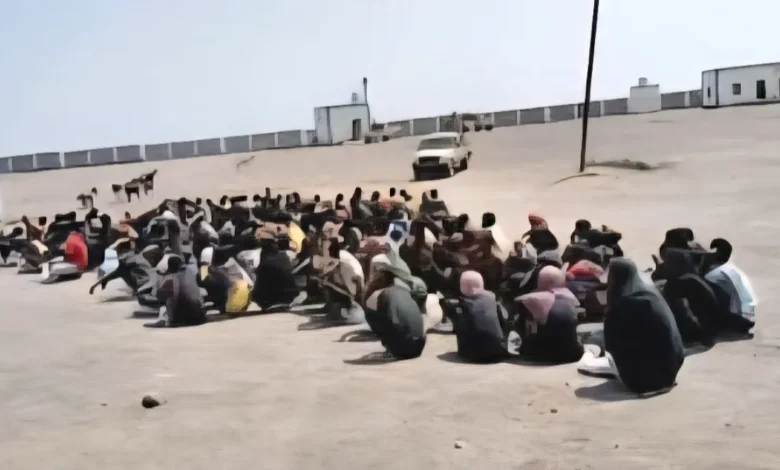 دفعة جديدة من المهاجرين غير الشرعيين تصل إلى سواحل شبوة