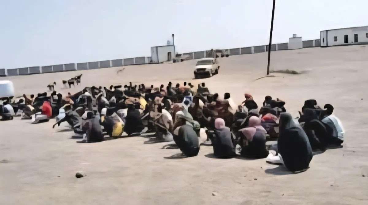 دفعة جديدة من المهاجرين غير الشرعيين تصل إلى سواحل شبوة