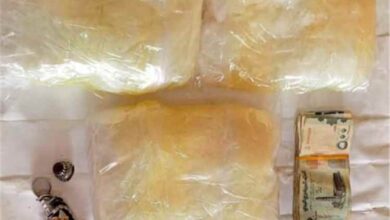 إحباط محاولة تهريب مخدرات إلى المكلا والقبض على مطلوب بارز في قضايا التهريب