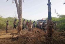حريق واسع يلتهم منازل وأشجار نخيل في وادي رضوم بشبوة وسط خسائر مادية كبيرة