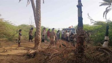 حريق واسع يلتهم منازل وأشجار نخيل في وادي رضوم بشبوة وسط خسائر مادية كبيرة