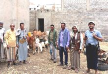 مليشيا الحوثي تفرض جبايات جديدة على مربي المواشي بذريعة حماية البيئة