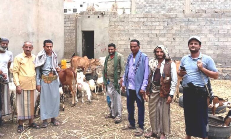 مليشيا الحوثي تفرض جبايات جديدة على مربي المواشي بذريعة حماية البيئة