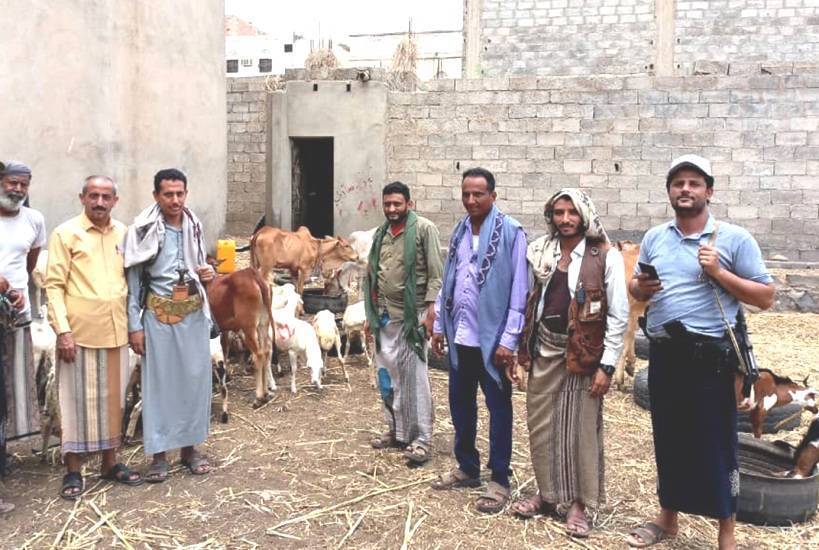 مليشيا الحوثي تفرض جبايات جديدة على مربي المواشي بذريعة حماية البيئة