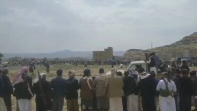 قبائل عمران تحيي "يوم النشور" وتؤكد تمسكها بالهوية اليمنية بعيداً عن شعارات الحوثيين