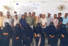 الحديدة.. اختتام دورة تنشيطية لـ150 أخصائياً لتعزيز التعليم والحد من التسرب الدراسي
