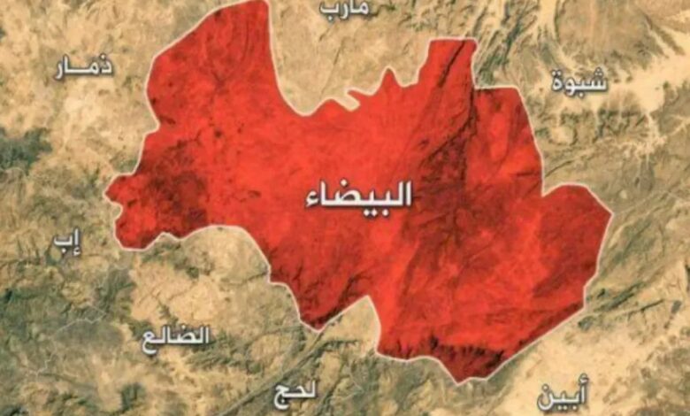 مليشيا الحوثي تحول منزل شيخ قبلي في البيضاء إلى مقر إعلامي تابع لها 1 مليشيا الحوثي تحول منزل شيخ قبلي في البيضاء إلى مقر إعلامي تابع لها