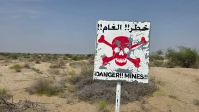 مسام ينتزع أكثر من ألفي لغم وذخيرة متفجرة خلال أسبوع في اليمن 1 مسام ينتزع أكثر من ألفي لغم وذخيرة متفجرة خلال أسبوع في اليمن