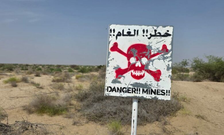 مسام ينتزع أكثر من ألفي لغم وذخيرة متفجرة خلال أسبوع في اليمن 1 مسام ينتزع أكثر من ألفي لغم وذخيرة متفجرة خلال أسبوع في اليمن