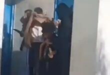 حادثة مروعة في صنعاء: لبوة تهاجم طفلًا وتفقده يده