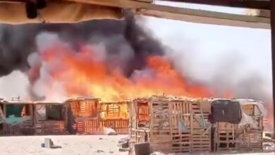 الجوف.. حريق واسع يدمر سوقاً للقات في اليتمة ويتسبب بخسائر كبيرة للتجار 6 الجوف.. حريق واسع يدمر سوقاً للقات في اليتمة ويتسبب بخسائر كبيرة للتجار