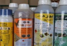 الحديدة.. حملة ميدانية تضبط مبيدات ممنوعة تهدد التربة والصحة العامة في حيس