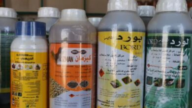 الحديدة.. حملة ميدانية تضبط مبيدات ممنوعة تهدد التربة والصحة العامة في حيس 2 الحديدة.. حملة ميدانية تضبط مبيدات ممنوعة تهدد التربة والصحة العامة في حيس