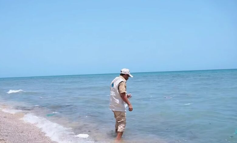 الحديدة.. حماية البيئة تدشن مسحاً ميدانياً بسواحل الخوخة لرصد تداعيات استهداف "روبي مار"