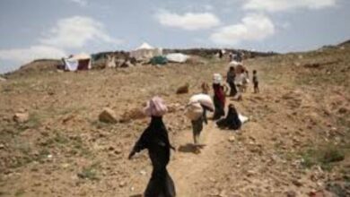 الهجرة الدولية: رصد نزوح 9 أسر يمنية خلال أسبوع