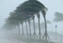 رياح قوية وأمطار رعدية متوقعة.. تحذيرات من اضطراب البحر وارتفاع درجات الحرارة