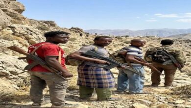 نهب واحتجاز وجبايات قسرية.. معاناة المسافرين تتفاقم في صعدة
