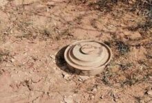 لغم حوثي يحول رحلة راعي أغنام إلى مأساة شرق صنعاء