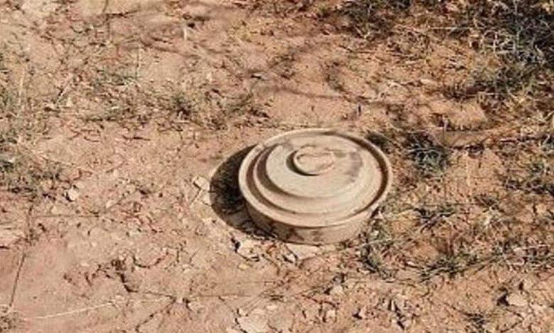 لغم حوثي يحول رحلة راعي أغنام إلى مأساة شرق صنعاء