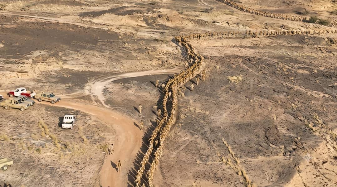 تدشين المرحلة الثانية من العام القتالي في محور الرزامات بمسير عسكري 20 كم