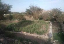 مليشيا الحوثي توقف بناء مسجد بتمويل أهلي في إب وتفرض قيودًا مالية لاستكمال المشروع
