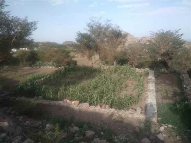 مليشيا الحوثي توقف بناء مسجد بتمويل أهلي في إب وتفرض قيودًا مالية لاستكمال المشروع
