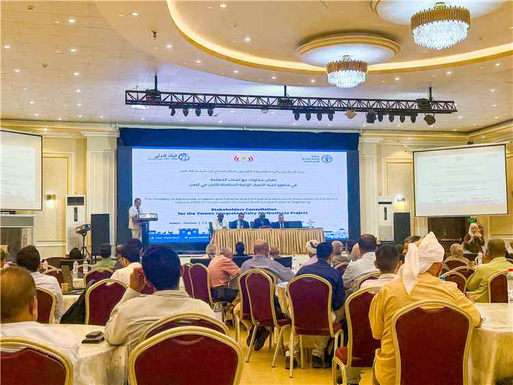 وزارة الزراعة والفاو تطلقان مشاورات لإعداد مشروع تنموي لقطاع الألبان