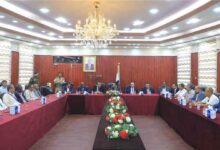محافظ المهرة يناقش مع وزيري الزراعة والمياه و"الفاو" أولويات التنمية بالمحافظة