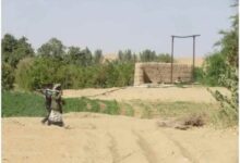 التصحر والجفاف يهددان مستقبل الزراعة والأمن الغذائي في اليمن