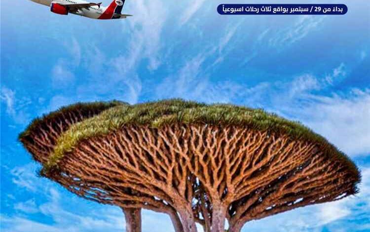 اليمنية تعلن استئناف رحلات جدة – سقطرى وتفتح باب الحجز 1 اليمنية تعلن استئناف رحلات جدة – سقطرى وتفتح باب الحجز