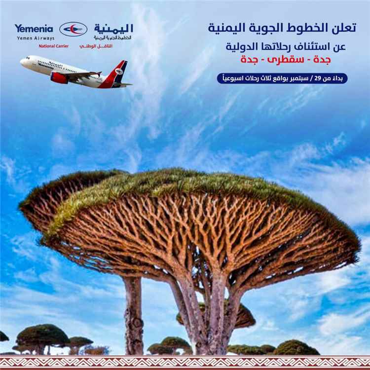 اليمنية تعلن استئناف رحلات جدة – سقطرى وتفتح باب الحجز