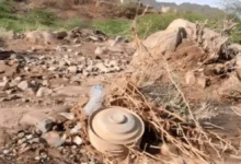 ألغام الحوثي تحرم مزارعي الحديدة من أراضيهم وتفرض عليهم دفع الأموال لإزالتها