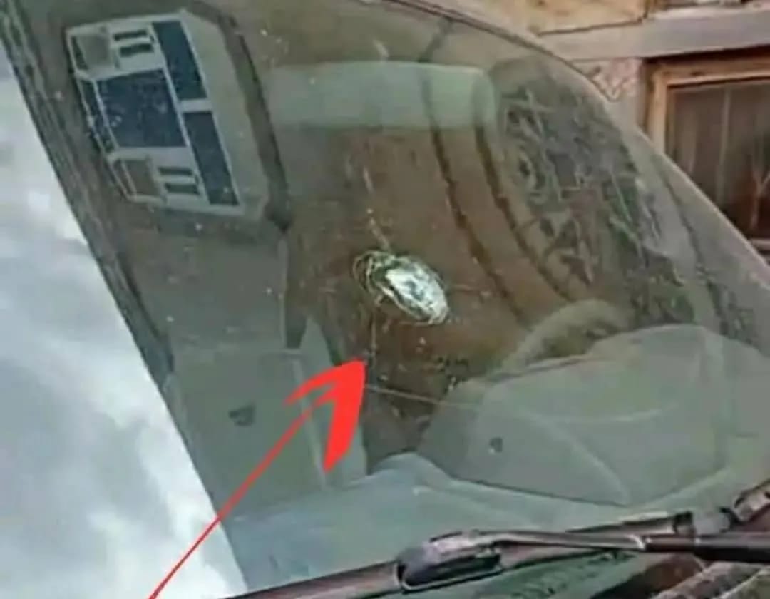 عصابات مدعومة حوثيًا تواصل استهداف منازل المدنيين في السياني بإب