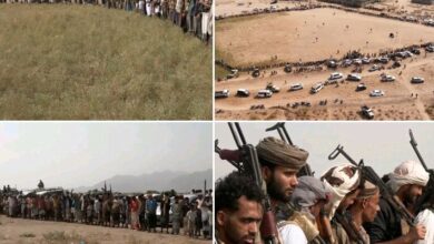 قبائل جنوب الحديدة تعلن النفير العام وتؤكد دعم معركة استعادة الدولة