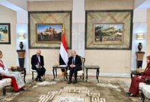العليمي أمام سفراء جدد: دعم الدولة اليمنية مفتاح الاستقرار وحماية الملاحة الدولية